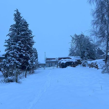 Ferienwohnung Classen Eifel Шляйден Экстерьер фото