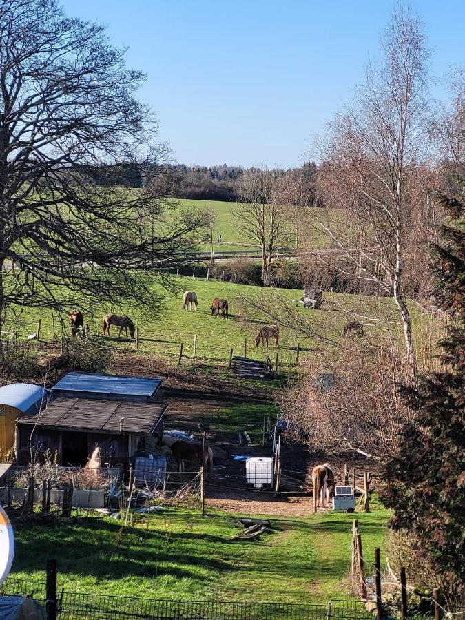 Ferienwohnung Classen Eifel Шляйден Экстерьер фото